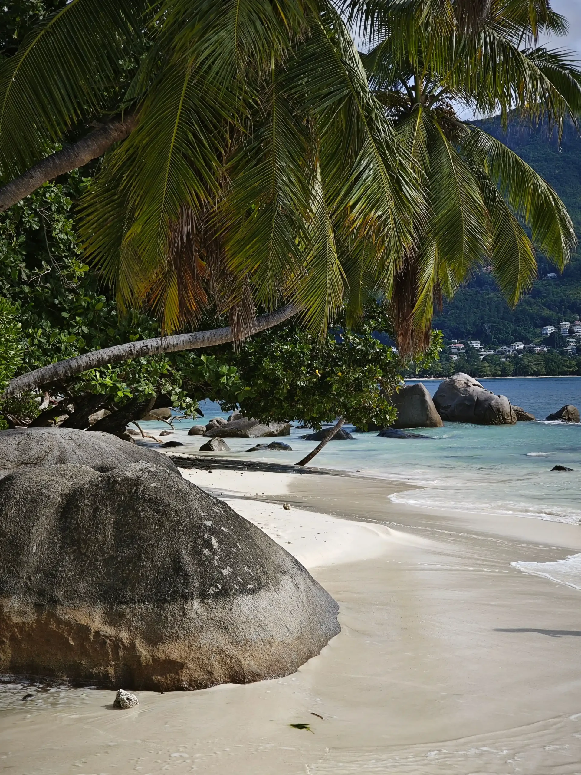 seychelles beach